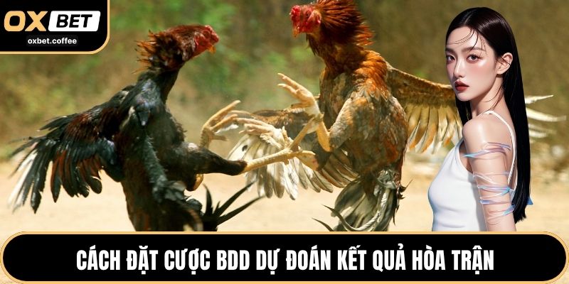 Cách đặt cược BDD dự đoán kết quả hòa trận