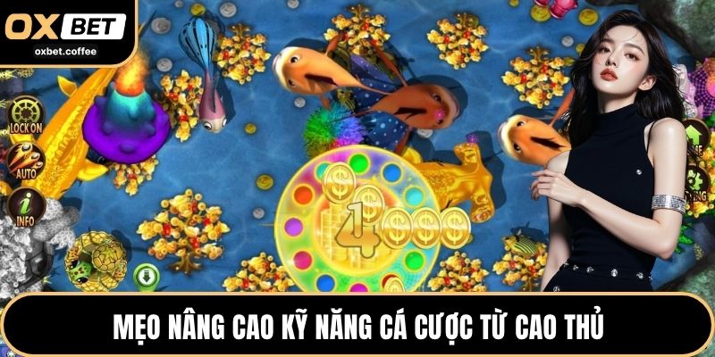 Mẹo nâng cao kỹ năng cá cược từ cao thủ