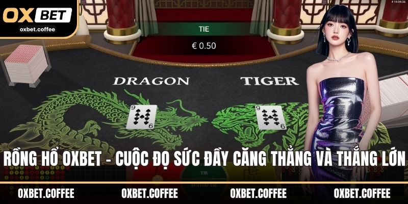 Rồng hổ OXBET